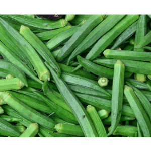 BHINDI SEEDS RESEARCH CHETAK-51