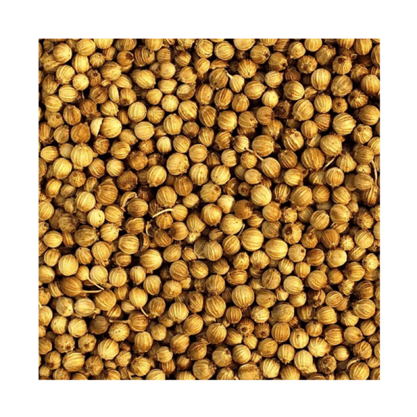 CORIANDER SEEDS KALMI