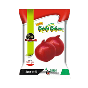 ONION SEEDS NASIK N-53