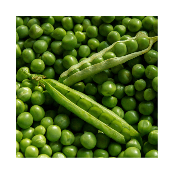 PEAS SEEDS KK-10